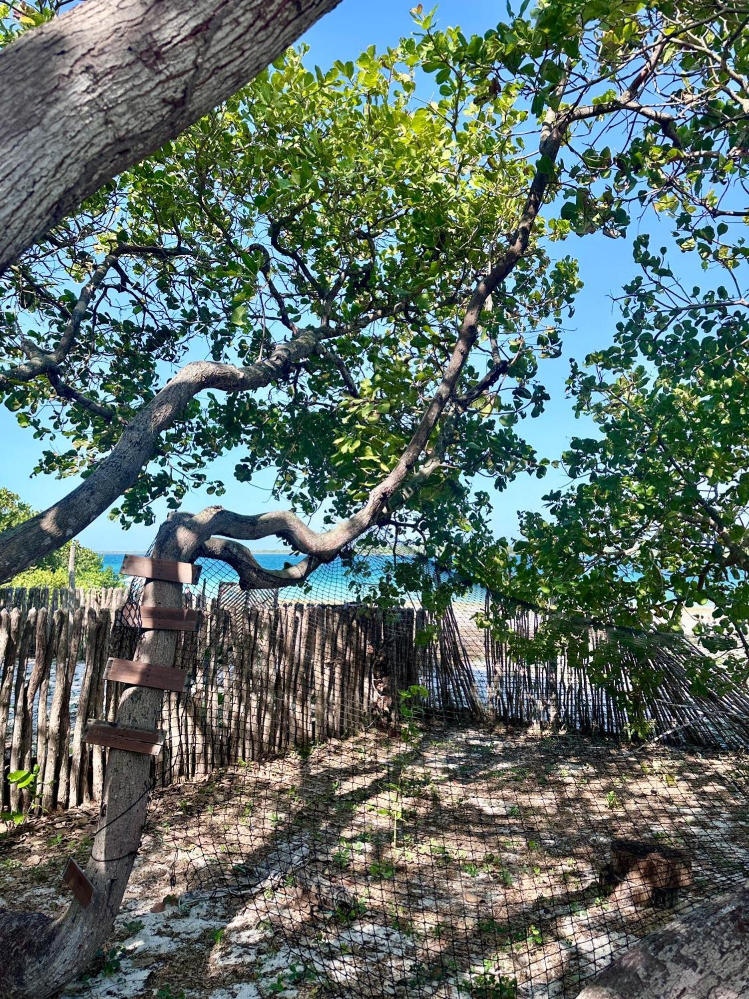 Manay Lagoa Do Paraiso, Casa 2 Quartos Na Beira Da Lagoa Villa Jijoca de Jericoacoara Luaran gambar